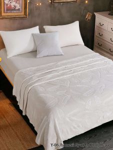 Плед ВЕЛСОФТ диз. Y-06 (13-0000) Лунный луч Перо (Л)